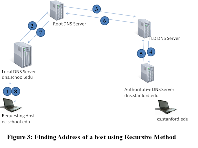 siteviz dns hosting