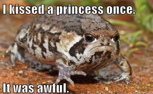 Image result for funny frog