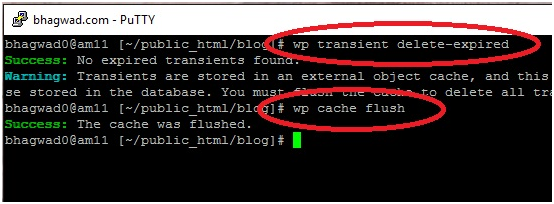 WP-CLI Connection